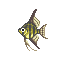 Poisson ange - Animal Crossing (Gamecube)